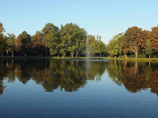 Vijver met fontein in het Vondelpark, vroege herfst