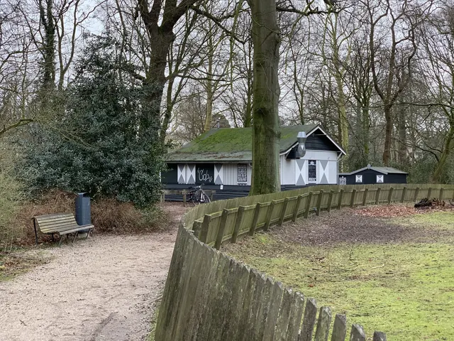 Het pannenkoekenhuis tussen de kale bomen van de Haarlemmerhout, in februari