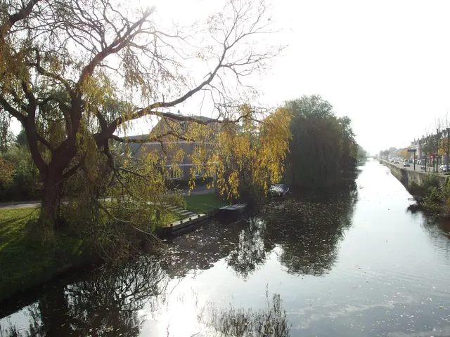 Een singel langs de Oude Stad, met wilgen aan het water