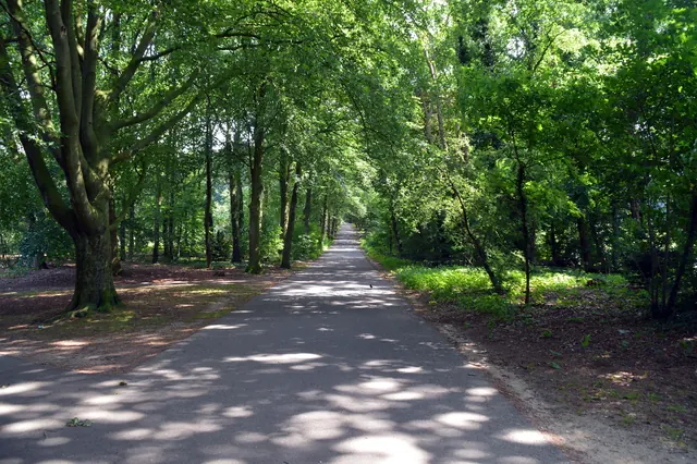 De Boslaan in het Goffertpark