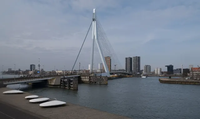 De Erasmusbrug gezien vanaf de Wilhelminakade