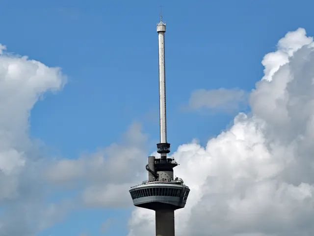 Euromast boven de bomen van Het Park (bijgesneden)